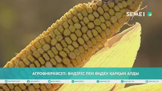 Агроөнеркәсіп: өндіріс пен өңдеу қарқын алды