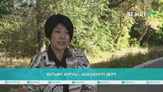 Құтыру ауруы – аса қауіпті дерт
