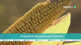 Бесқарағай ауданының даму қарқыны                                                 