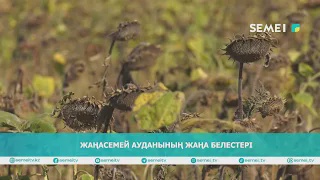 Жаңасемей ауданының жаңа белестері                            