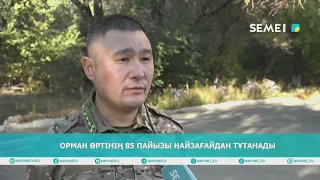 Орман өртінің 85 пайызы найзағайдан тұтанады                   