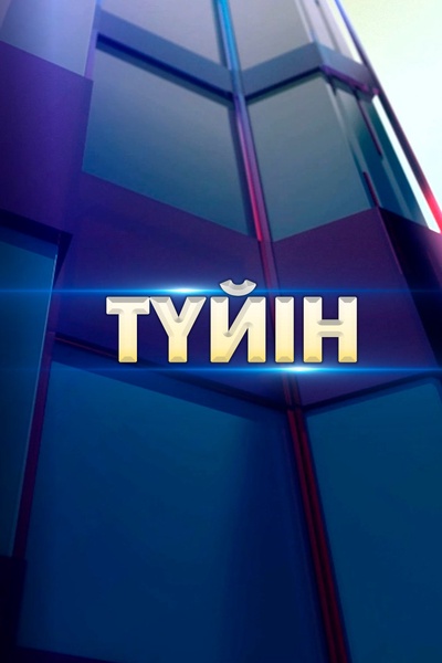 Түйін