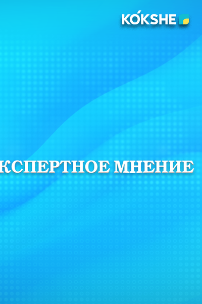 ЭКСПЕРТНОЕ МНЕНИЕ