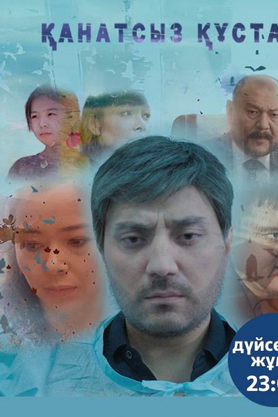 Қанатсыз құстар 