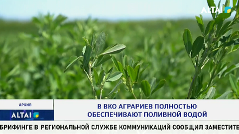 В ВКО аграриев полностью обеспечивают поливной водой