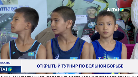 Открытый турнир по вольной борьбе