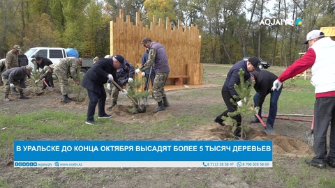 В УРАЛЬСКЕ ДО КОНЦА ОКТЯБРЯ ВЫСАДЯТ БОЛЕЕ 5 ТЫСЯЧ ДЕРЕВЬЕВ