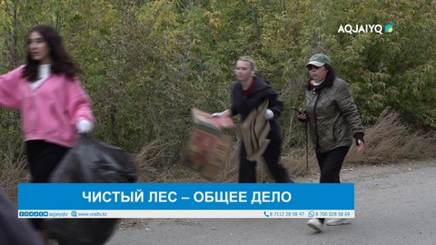 ЧИСТЫЙ ЛЕС – ОБЩЕЕ ДЕЛО