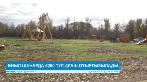 БИЫЛ ШАҺАРДА 5200 ТҮП АҒАШ ОТЫРҒЫЗЫЛАДЫ