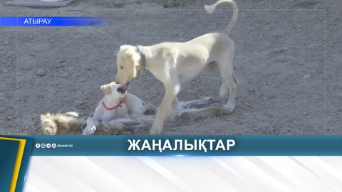 БҮГІН - ҚАЗАҚЫ ТАЗЫ КҮНІ 