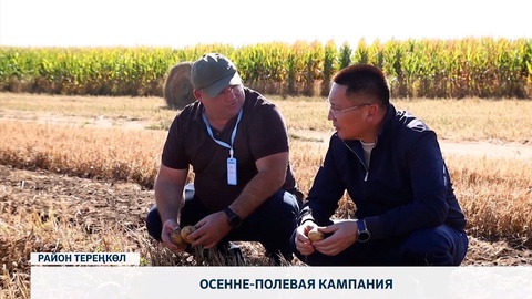 Осенне-полевая кампания