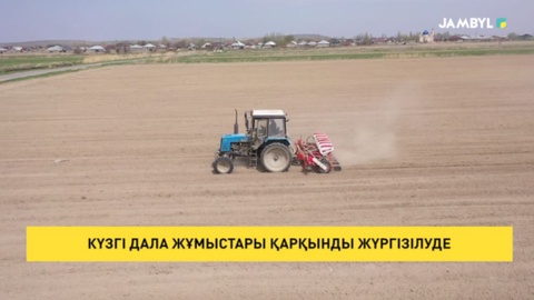 Күзгі дала жұмыстары қарқынды жүргізілуде