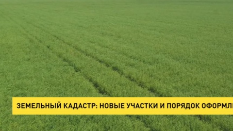 Земельный кадастр: Новые участки и порядок оформления