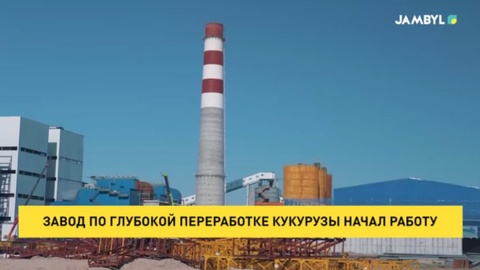 Завод по глубокой переработке кукурузы начал работу