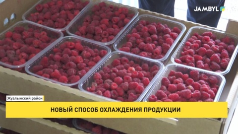 Новый способ охлаждения продукции