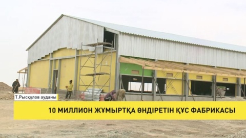 10 миллион жұмыртқа өндіретін құс фабрикасы