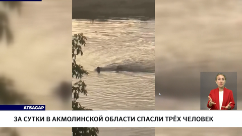За сутки в Акмолинской области спасли трёх человек