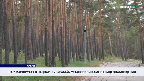 На 7 маршрутах в нацпарке «Бурабай» установили камеры видеонаблюдения