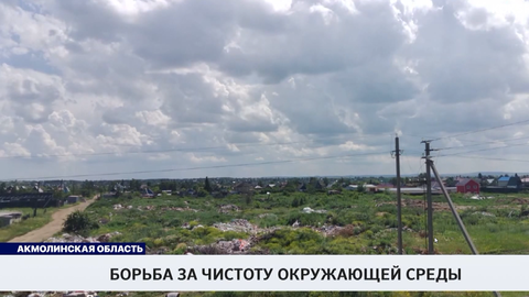 Борьба за чистоту окружающей среды