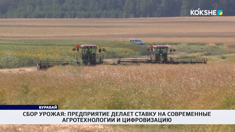 Сбор урожая: предприятие делает ставку на современные агротехнологии и цифровизацию 