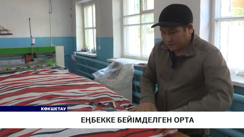 Еңбекке бейімделген орта