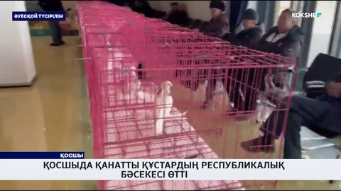 Қосшыда қанатты құстардың республикалық бәсекесі өтті