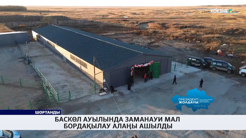 Баскөл ауылында заманауи мал бордақылау алаңы ашылды