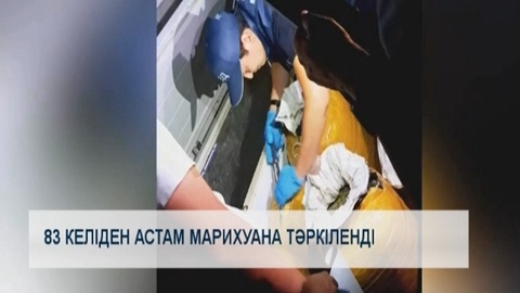 83 келіден астам марихуана тәркіленді 