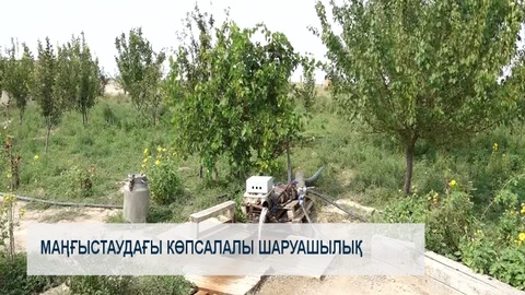 Маңғыстаудағы көпсалалы шаруашылық