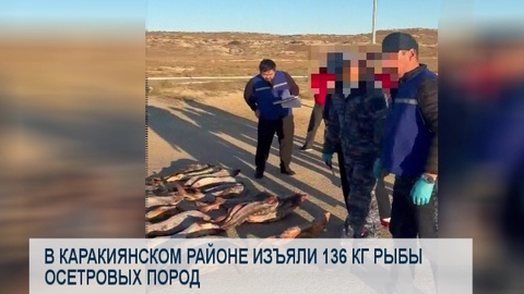 В Каракиянском районе изъяли 136 кг рыбы осетровых пород