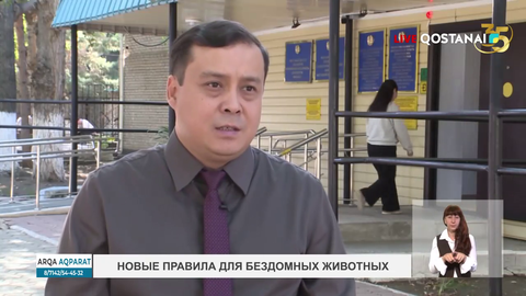 Новые правила для бездомных животных