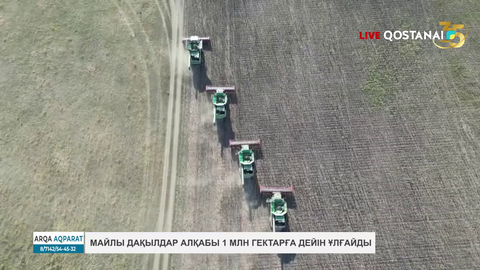Майлы дақылдар алқабы 1 млн гектарға дейін ұлғаяды
