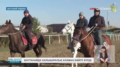Қостанайда халықаралық аламан бәйге өтеді