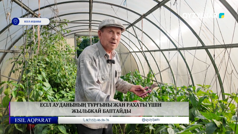 Есіл ауданының тұрғыны жан рахаты үшін жылыжай баптайды