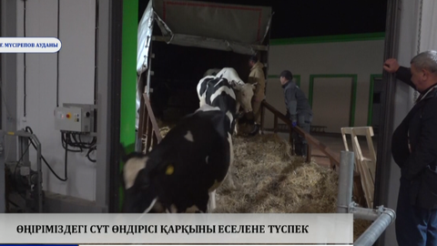 Өңіріміздегі сүт өндірісі қарқыны еселене түспек