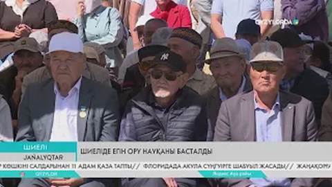 Шиеліде егін ору науқаны басталды