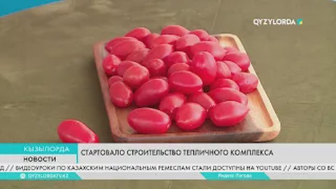 Стартовало строительство тепличного комплекса
