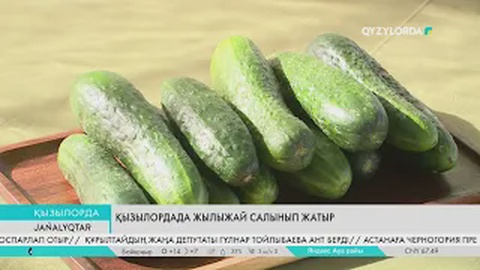 Қызылордада жылыжай салынып жатыр
