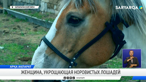 Женщина, укрощающая норовистых лошадей
