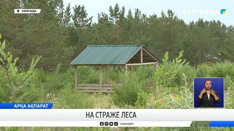 На страже леса
