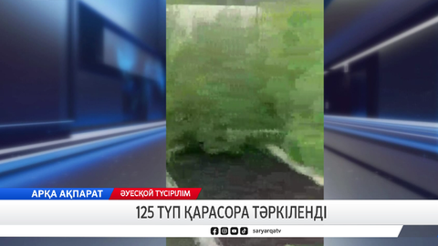 125 түп қарасора тәркіленді