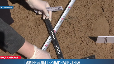 Тәжірибедегі криминалистика