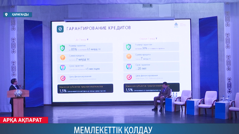 Мемлекеттік қолдау