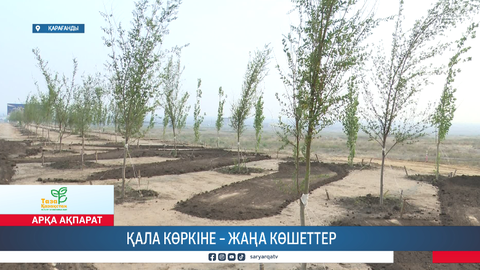 Қала көркіне – жаңа көшеттер 