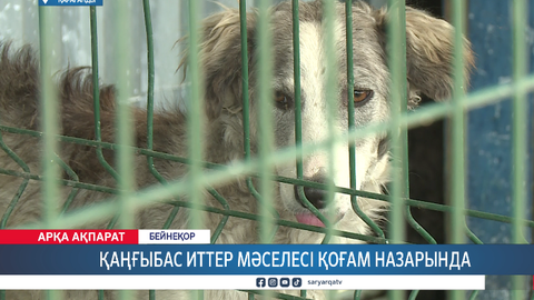 Ауыл шаруашылық және жануарлар мәселесі қаралды