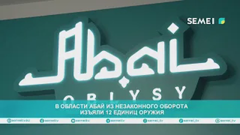 В области Абай из незаконного оборота изъяли 12 единиц оружия