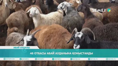 46 отбасы Абай ауданына қоныстанды 