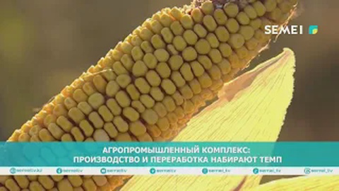 Агропромышленный комплекс: производство и переработка набирают темп