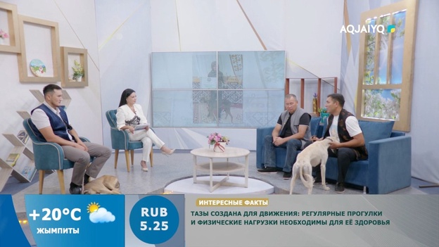 3 сентября – День казахского тазы и тобета. Күншуақ (03.09.2026)