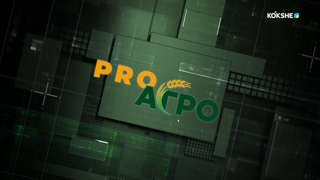 PRO АГРО | Растениеводство и современные технологии выращивания пшеницы - 04.09.2026